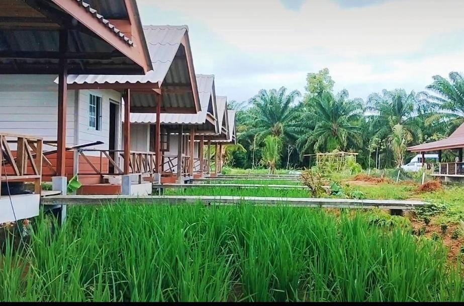 ปารมีฟาร์มสเตย์ Takuapa Екстериор снимка